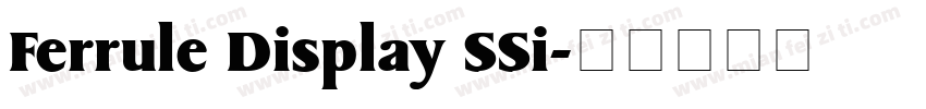 Ferrule Display SSi字体转换